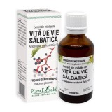 Cumpara ieftin Extract din mladite de Vita de Vie Salbatica, 50 ml, Plant Extrakt