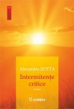 Intermitente critice, Paperback brosat, carte Junimea, literatura romana, proza