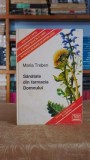 Sanatate din farmacia Domnului (cartonata) - Maria Treben
