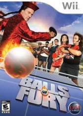 Balls of Fury Wii foto