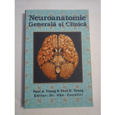 NEUROANATOMIE GENERALA SI CLINICA - Paul A. Young &amp; Paul H. Young