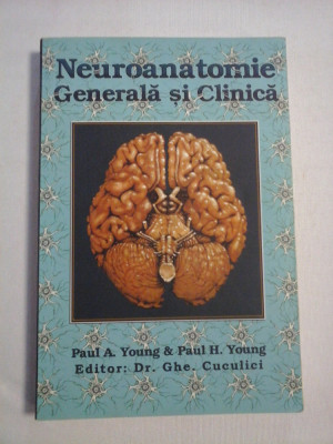 NEUROANATOMIE GENERALA SI CLINICA - Paul A. Young &amp;amp; Paul H. Young foto