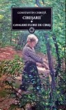 Cumpara ieftin Ciresarii, vol 1. Cavalerii Florii de cires - 2010 - Constantin Chirita (AA243)