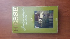 Jocul cu margele de sticla - Hermann Hesse foto