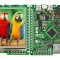 Afişaj TFT cu Interfaţă JTAG și UART pentru ARM