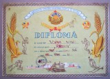 O.218 DIPLOMA ROMANIA RPR ASOCIATIA PENTRU CULTURA FIZICA SI SPORT RECOLTA BRASOV STALIN 1956