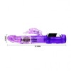BAILE - US RABBIT PASSION BARON, BAILE ROTATIONS
