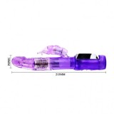 BAILE - US RABBIT PASSION BARON, BAILE ROTATIONS