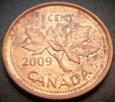 Moneda 1 CENT - CANADA, anul 2009 * cod 4917