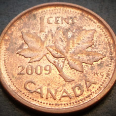 Moneda 1 CENT - CANADA, anul 2009 * cod 4917