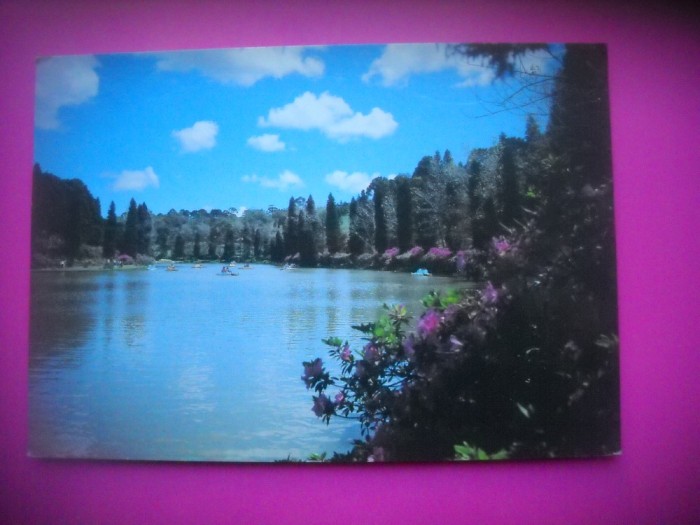 HOPCT 7317 LACUL NEGRU CU FLORI DE AZALEE-GRAMADO RS -BRAZILIA -AMERICA DE SUD -NECIRCULATA