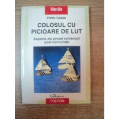 COLOSUL CU PICIOARE DE LUT , ASPECTE ALE PRESEI ROMANESTI POST - COMUNISTE de PETER GROSS , 1999