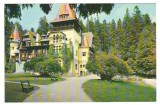 CPIB 24294 CARTE POSTALA - SINAIA , CASA DE CREATIE PELISORUL, NECIRCULATA
