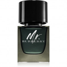 Burberry Mr. Burberry Eau de Parfum pentru bărbați 50 ml