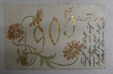 FELICITARE DE NOUL AN , 1905 , CARTE POSTALA EMBOSATA , POLICROMA, CIRCULATA , CLASICA