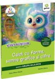Caiet cu forme, semne grafice și cifre pentru grupa mijlocie - Paperback brosat - Gama