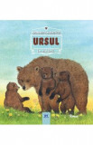 Animale salbatice in natura - Ursul