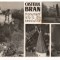CPIB 18242 CARTE POSTALA - CASTELUL BRAN, MOZAIC, RPR