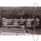 CP mare Sovata - Casa de cultura, RPR, circulata 1966, animata, stare buna
