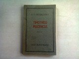 TIMOTHEIUL MUCENICUL - D.D. PATRASCANU