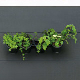 Nature Kit vertical pentru flori / ierburi de gradina GartenMobel Dekor, vidaXL