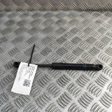 Amortizor capota dreapta față BMW 3 Gran Turismo F34 2013 OEM: 7239233 30813481