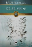 Ce se vede - Radu Petrescu