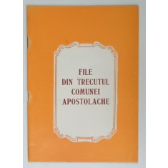 FILE DIN TRECUTUL COMUNEI APOSTOLACHE , ANII &#039;70 - &#039; 80