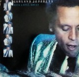 Garland Jeffreys Rock &amp; Roll Adult Vinil LP (VG+) Editie USA Muzica