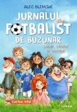 Jurnalul unui fotbalist de buzunar. Suturi sosete si secrete. Cartea intai - Litera