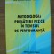 DAN GEORGE MOISE / SORIN MATEI - METODOLOGIA PREGATIRII FIZICE IN TENISUL DE PERFORMANTA - 2011