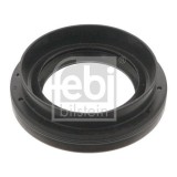 Febi Bilstein simering, diferential