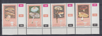 CISKEI 1987 CIUPERCI SERIE MNH foto