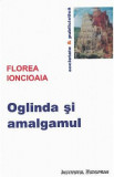 Oglinda si amalgamul - Florea Ionciaia