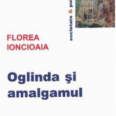 Oglinda si amalgamul - Florea Ionciaia