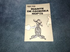 ANGELA TRAIAN - INAINTE DE CADEREA NOPTII