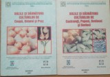 Bolile Si Daunatorii Culturilor De Ceapa, Usturoi, Praz, Castraveti, Pepeni