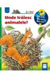 Unde traiesc animalele? - Anne Moller
