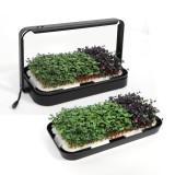 Kit de Crestere Microplante si Germeni RARINCARE, ghiveci Hidroponic, Lampa UV 16W, gradina de interior sustenabila acasa, la birou sau balcon, Negru