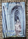 Amelia Pavel - Un martor in plus cu semnatura autoarei