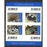 CROATIA 2019 FAUNA MARINA