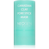 Neogen Dermalogy Canadian Clay Pore Stick Mask masca pentru curatare profunda pentru micsorarea porilor 28 g