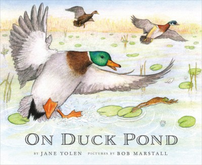 On Duck Pond foto