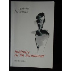 Intalnire cu un necunoscut - Gabriel Liiceanu foto