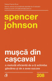 Musca din cascaval - Curtea Veche