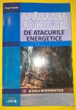 Grigori Kapita - Apararea familiei de atacurile energetice