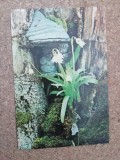 C9 3 - 1980 - Calendar de buzunar - reclama Editura Sport - Turism