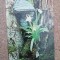 C9 3 - 1980 - Calendar de buzunar - reclama Editura Sport - Turism