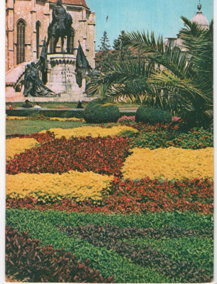 CPI B 11433 CARTE POSTALA - CLUJ . STATUIA LUI MATEI CORVIN foto