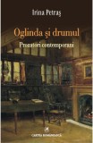 Oglinda şi drumul. Prozatori contemporani - Irina Petraş